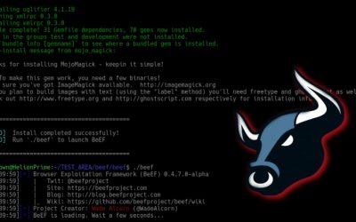 Offensive Security Tool: BeeF Framework