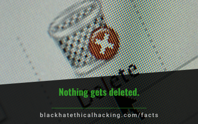 Fact: Nothing Gets Deleted