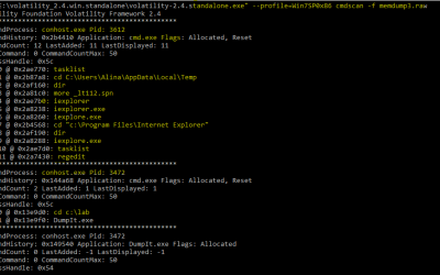 Digital Forensics Tool: Volatility Memory Forensics Framework