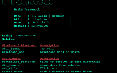 Offensive Security Tool: Hakku Framework
