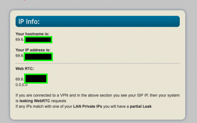 Digital Forensic Tool: WebRTC-Leak (VPN Leak Tester)