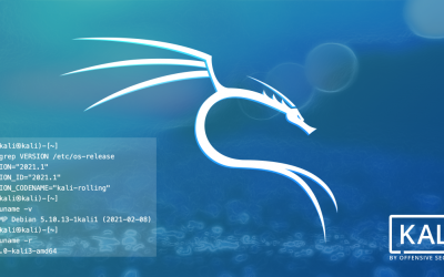 New tools in Kali Linux 2021.1 Release (Command-Not-Found)