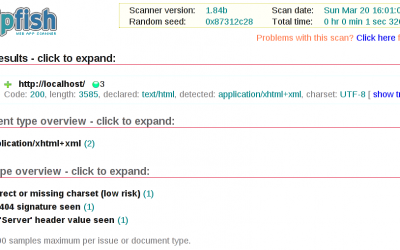 Offensive Security Tool: Skipfish