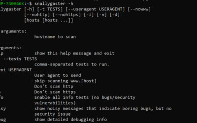 Offensive Security Tool: Snallygaster