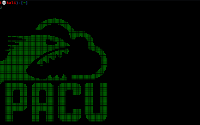 Offensive Security Tool: Pacu – The Amazon Web Services Exploitation Framework