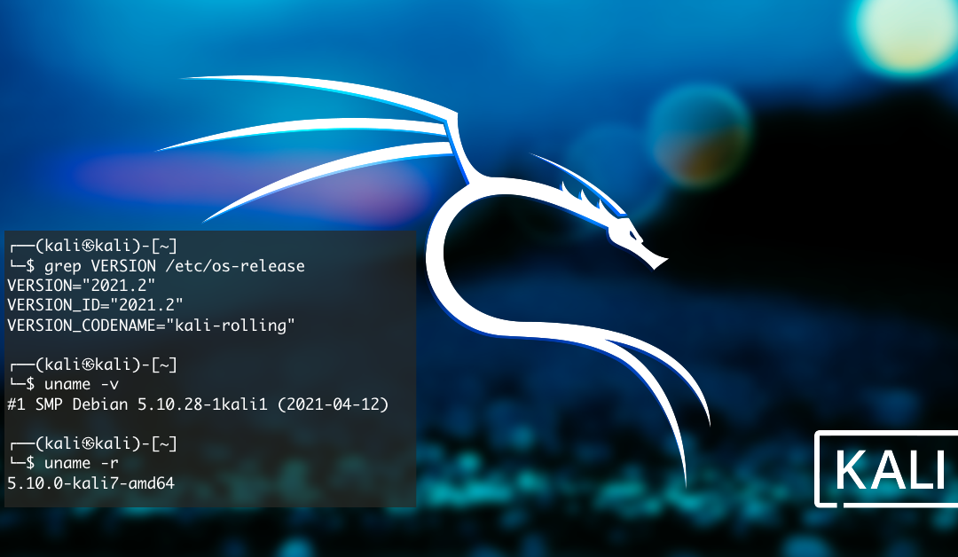 Kali Linux 2021.2 Release (Kaboxer, Kali-Tweaks, Bleeding-Edge & Privileged Ports)