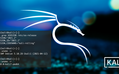 Kali Linux 2021.2 Release (Kaboxer, Kali-Tweaks, Bleeding-Edge & Privileged Ports)