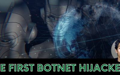 The first botnet hijacker aka the Zombie King