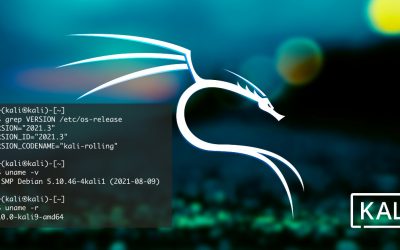 Kali Linux 2021.3 released: Kali NetHunter on a smartwatch, wider OpenSSL compatibility, new tools