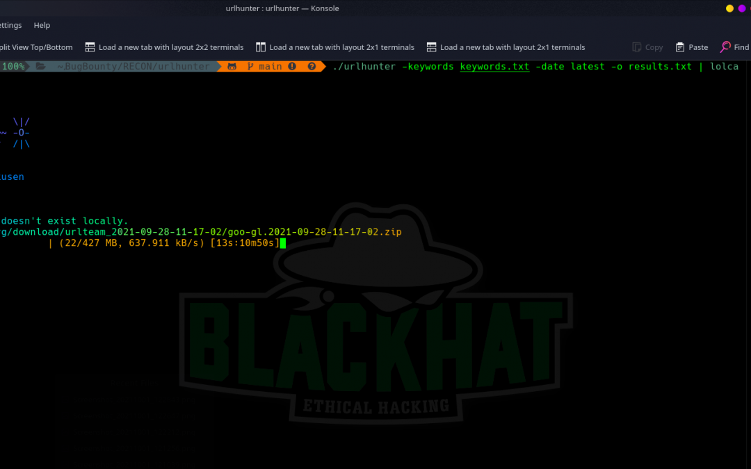 Offensive Security Tool: URL Hunter