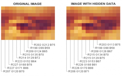 Offensive Security Tool: Crypto Steganography