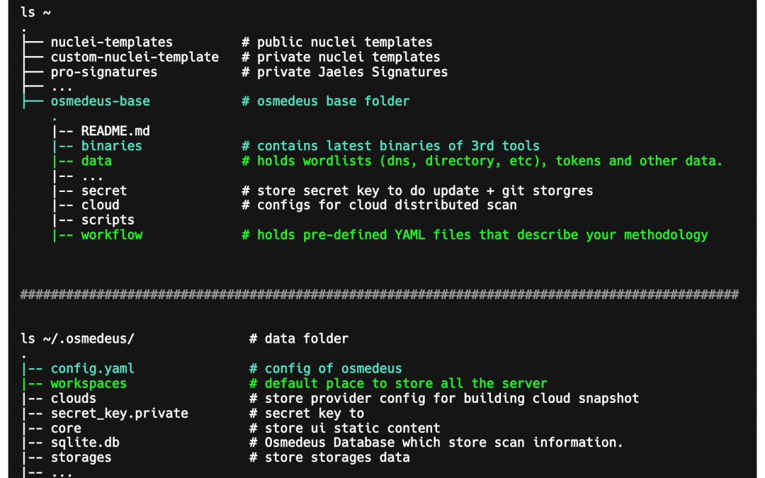 Offensive Security Tool: Osmedeus