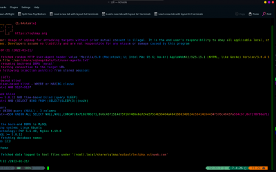 Offensive Security Tool: SQLMap
