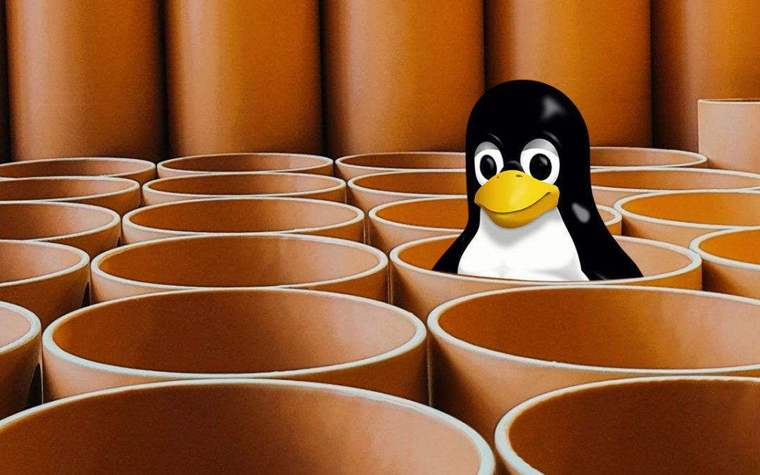 Most QNAP NAS Devices Affected by ‘Dirty Pipe’ Linux Flaw