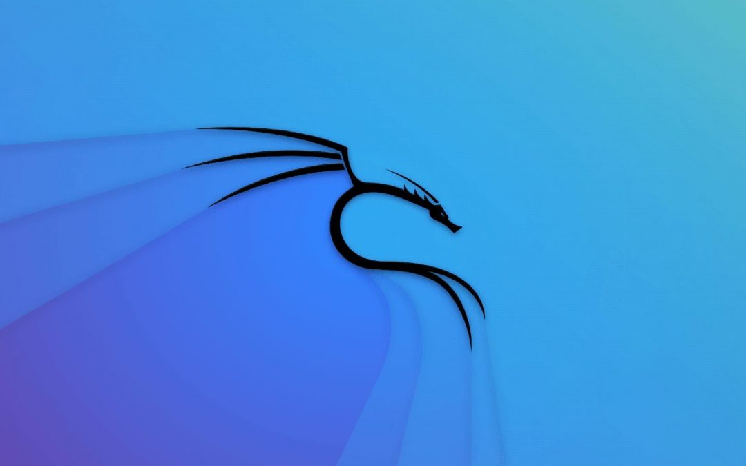 Kali Unkaputtbar – a new feature on Kali Linux