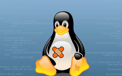 New Linux bug gives root on all major distros, exploit released