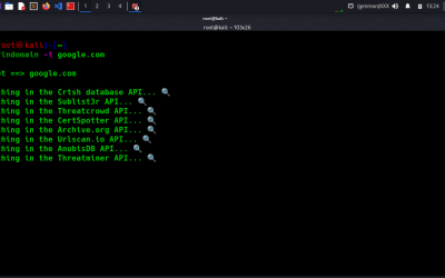 Recon Tool: Findomain