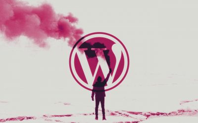 Critical Vulnerability in Premium WordPress Themes Allows for Site Takeover