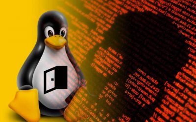 New Windows Subsystem for Linux malware steals browser auth cookies