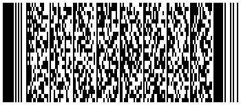 PDF417 Barcode