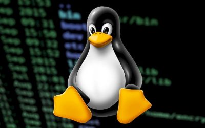 CISA warns of hackers exploiting PwnKit Linux vulnerability