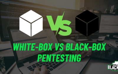 The Difference between White-Box and Black-Box Pentesting