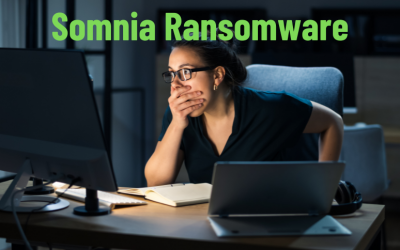 Russian hacktivists use new Somnia ransomware