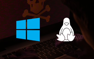 Chinese Hacking Group Exploits VMware ESXi Vulnerability to Backdoor Windows and Linux VMs