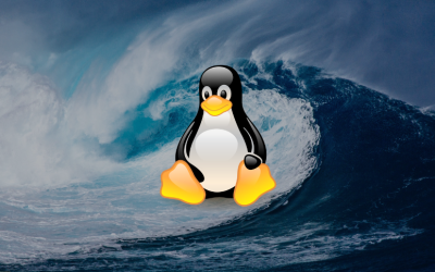 Brute-Force Attack on Linux SSH Servers Unleashes Tsunami DDoS Bot