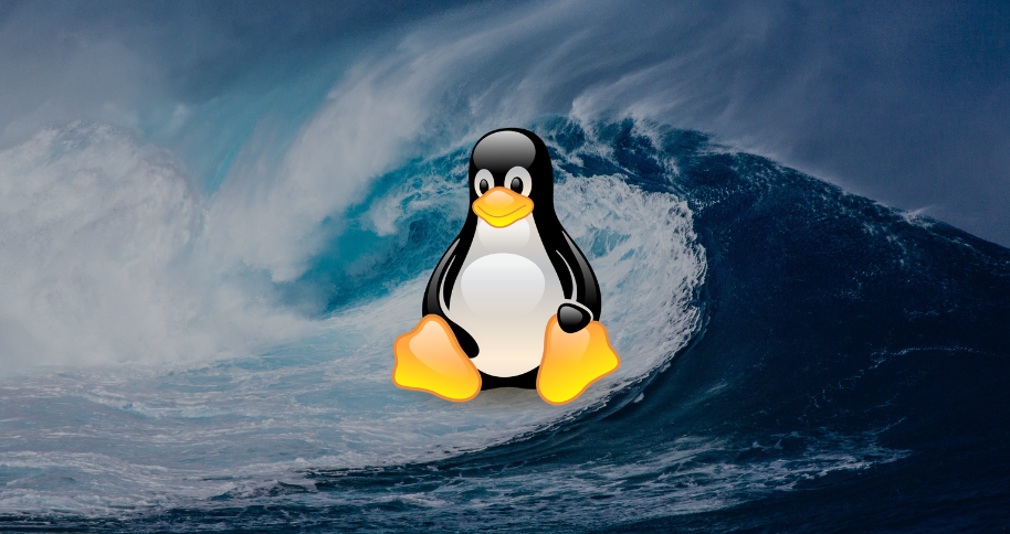 Linux SSH servers malware Tsunami DDoS bot