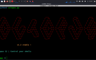 Offensive Security Tool: Octopus