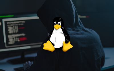 Gaining Root Control: Looney Tunables’ Linux Vulnerability Raises Alarms