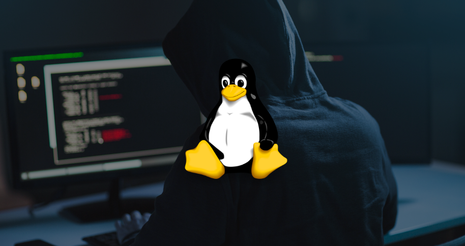 Gaining Root Control: Looney Tunables' Linux Vulnerability Raises Alarms