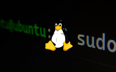 Critical Vulnerability in Shim Bootloader Threatens Linux Systems