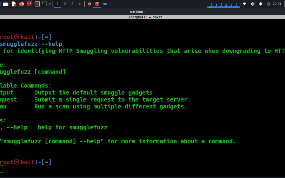 Offensive Security Tool: SmuggleFuzz