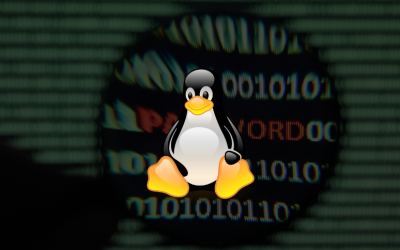 Linux Vulnerability “WallEscape” Leaves Users Exposed to Password Theft