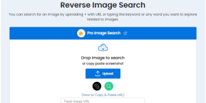 Identifying Online Frauds and Scams Using Image Search