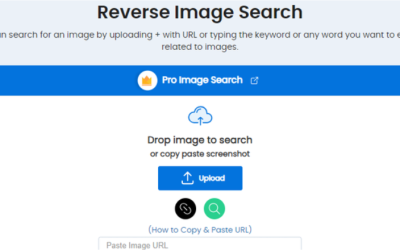 Identifying Online Frauds and Scams Using Image Search