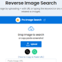 Identifying Online Frauds and Scams Using Image Search
