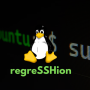 New OpenSSH Vulnerability “regreSSHion” Enables Root Privileges on Linux Systems