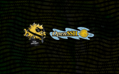 New OpenSSH Vulnerability CVE-2024-6409 Exposes Systems to Remote Code Execution Risks