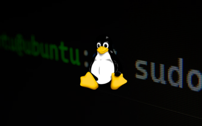 Stealthy “perfctl” Malware Exploits Linux Servers for Cryptojacking and Proxyjacking