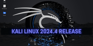 Kali Linux 2024.4: 14 New Tools, Python 3.12, and Raspberry Pi Enhancements