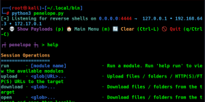 Offensive Security Tool: Penelope
